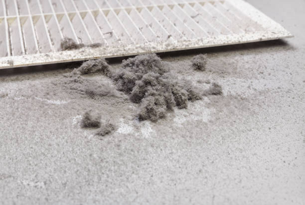 Best Professional Duct Cleaning Services  in Rush Springs, OK