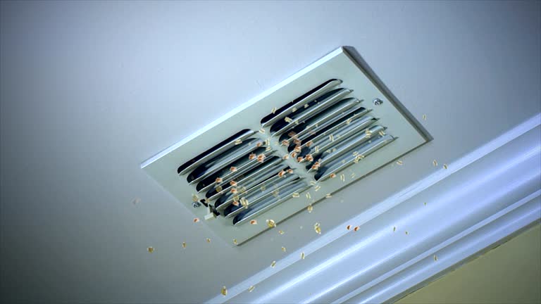 Best Professional Duct Cleaning Services  in Rush Springs, OK